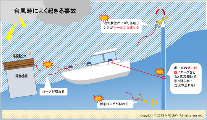 台風　係留　