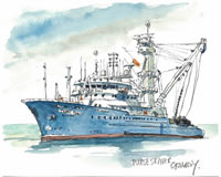 大型まき網漁船（スペイン）