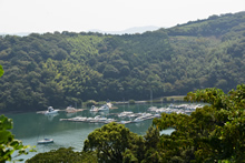 大島半島　グリーン大和マリーナ