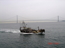 明石海峡の底曳漁船