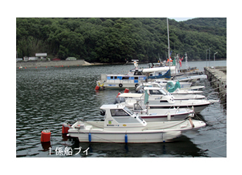 坂越ボートパーク係留施設