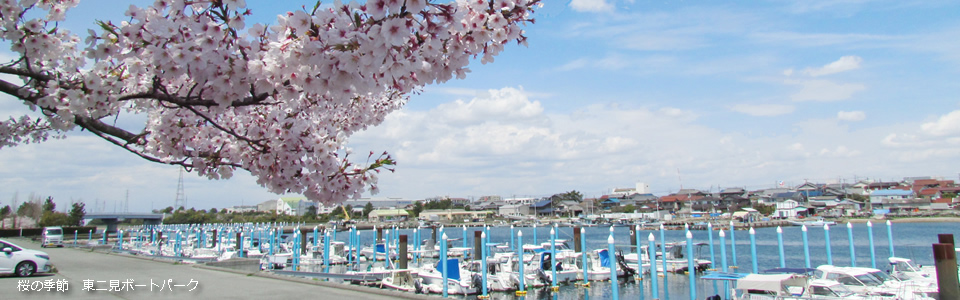 桜の季節　播磨ボートパーク(桜)