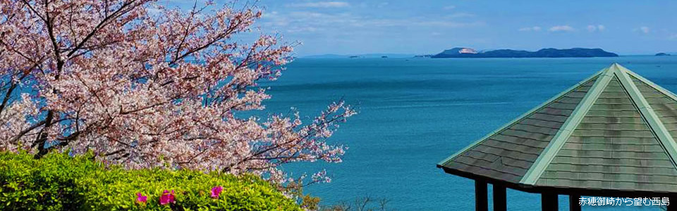 赤穂御崎から望む西島(桜)