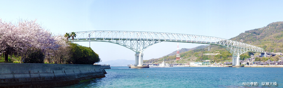 桜の季節　早瀬大橋(桜)
