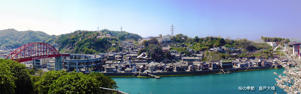 桜の季節　音戸大橋(桜)