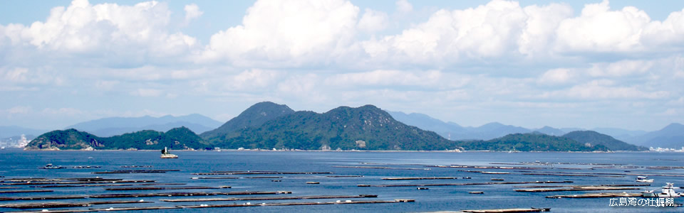 広島湾の牡蠣棚