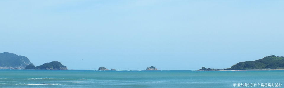 甲浦海岸から竹ケ島葛島を望む