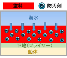 加水分解型1