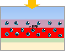 水和分解型2